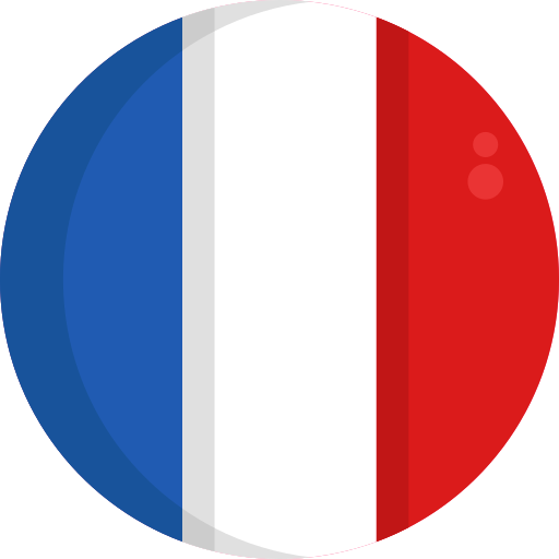 in-Europe-icon