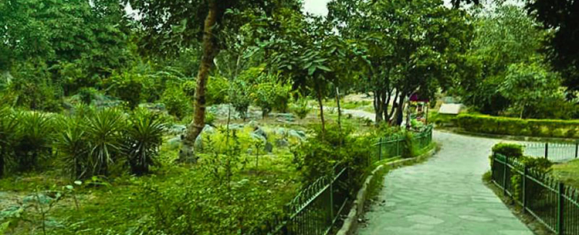 Delhi Ridge